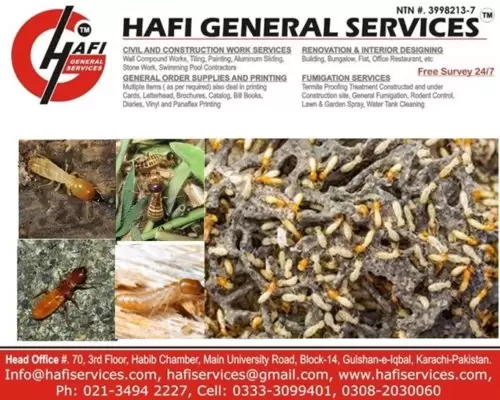 Termites Colony and Termite Control